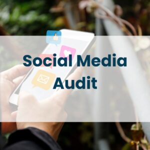 social media audit